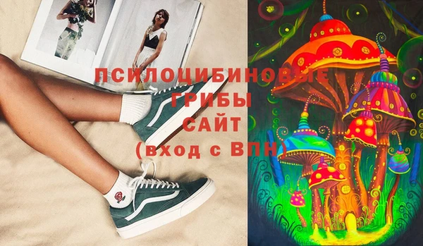 2c-b Козловка