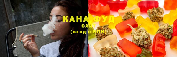 дживик Козельск