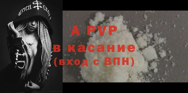 прущие грибы Костерёво
