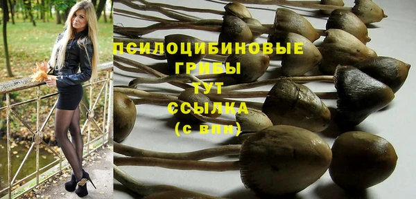 2c-b Козловка