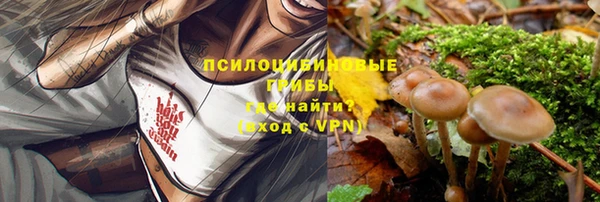 мескалин Корсаков