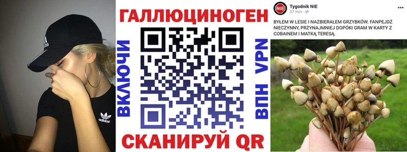 Галлюциногенные грибы мицелий Малгобек